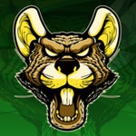 Stank Rat got em again