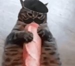 tripaloski (loud) made by ryan 3: