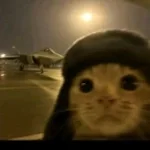 Jeffrey Epstein super slowed