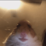 Another Victory For The OGs [REMIX]