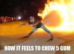 How It Feels to Chew Five Gum
