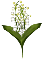 I just lost my dawg (British version)