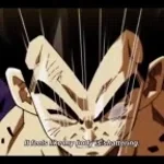 Vegeta toppo 1