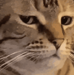 WOAH MAN YOU’RE WAY TO CLOSE