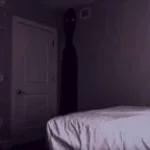 Wake Up - Mandela Catalog