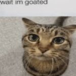 Melodia Do Argentino Funk (Slowed)