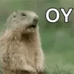 quien te pidio tu opinion