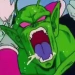 Piccolo Barking