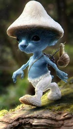 we live we love we lie