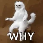 Kaeden Compton "Why?"