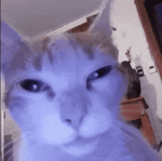 You have to know this, heres the comes it starts with