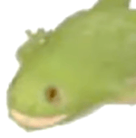 EMERGENCY FROG SITUATION!!!!!!