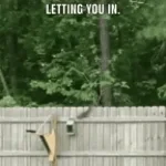 Paul Recorded 04/17/26 11:01:23