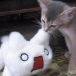 have you ever had a crispy cream