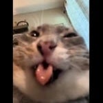 you use to call me on my cellphone