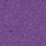 Certainly! Here's a short pop