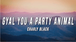 Charly Black Gyal You A Party Animal