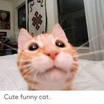 atumalaca slow motion