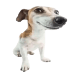 Studiopolis Zone Act 1