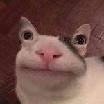 Luboš Bailador, letákový král