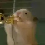 Wah wah wah wah wah wahhhh