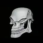 Bad to the Bone guitar riff