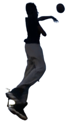 backshots of liberation