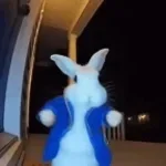 All Roads Lead to Getting Banned on Roblox VC