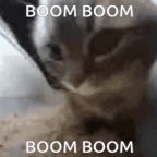 Детка любит бум-бум - Sound