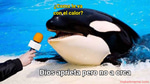 Siempre creí que yo era negro