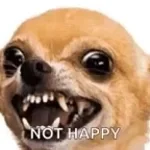 wkurwia mnie gimpson