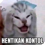 Cat Meow Minecraft Sound Effect (HD) - Sound