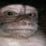 shaq ahh laughh BETTER