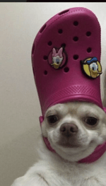 stroke that thang cuzzo