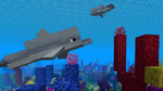 Swim3 - dolphin