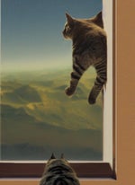 HIGH ON LIFE-or HIGH ENOUGH