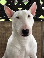 why did you redeem it ! but louder