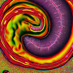 Nut
