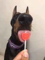 do you remember jersey club remix speed up yt 5s