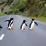 Get out of my way￼