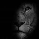 The Lion Mentality