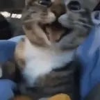 Rico Blanco - You'll Be Safe Here (Official Visualizer) (copy)