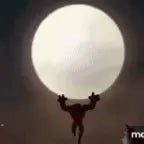 wildmutt transformation