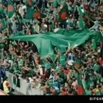 Wez bolsiu wykurkiaj