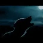 AUUU AUUU AUU UEHHHH