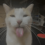 put your hands up in the air