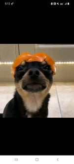 rush sound effect - Sound