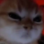 de961dc57da2764e9a1e523d95f52fca (online audio converter