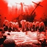 SEM TEMPO (Super Slowed)