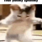 (sped up) sploinky doinky